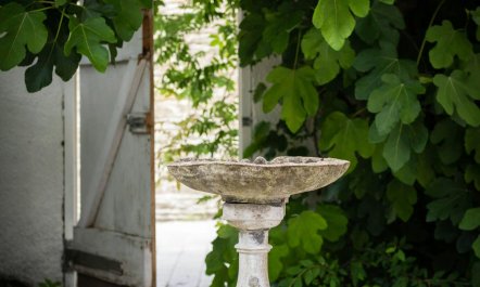 The Ambassador's Retreat 7