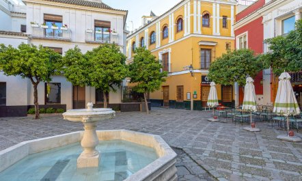 The Spanish Songbird 9