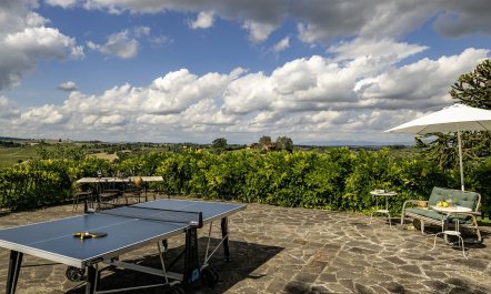 Sunlit Tuscan Retreat 5