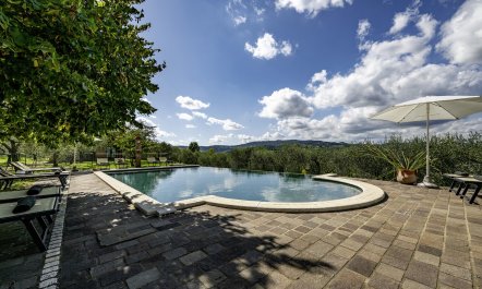 Sunlit Tuscan Retreat 4