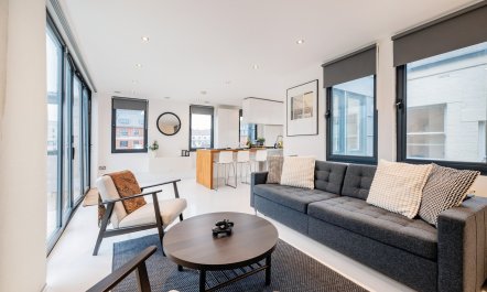 The Central Penthouse 2