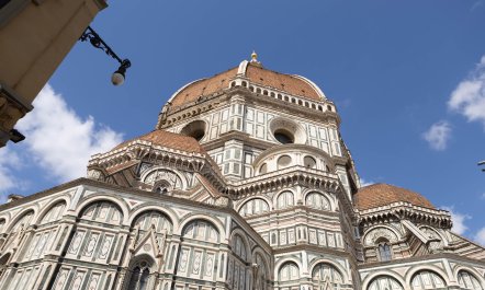 Florentine Fine 1