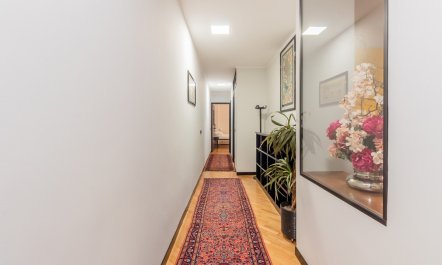 Metropolitan Dream 7