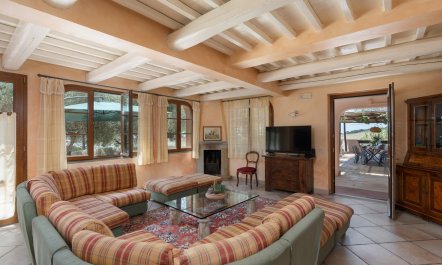 Rustic Wonder 9