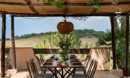 Rustic Wonder 6
