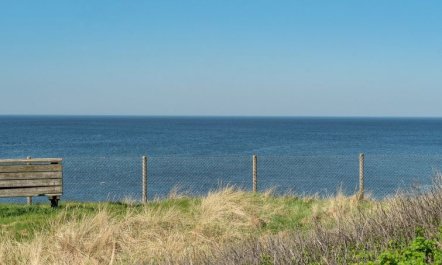 'Alberta' - 50m from the sea 3