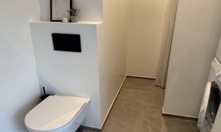 'Barnet' - 180m to the fjord 5