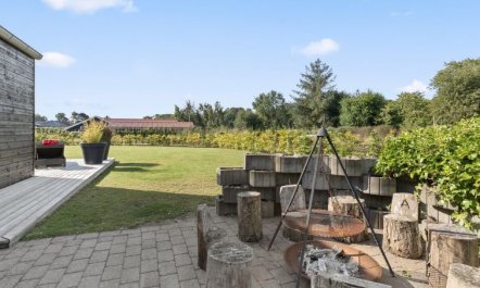 'Harri' - 400m from the sea 1