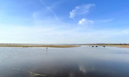 'Antonina' - 775m from the sea 7