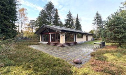 'Jorid' -  from the sea 1