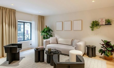 Stylish Parisian Home 2