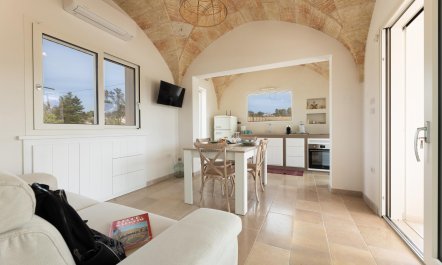 A Sun-Kissed Sojourn 5