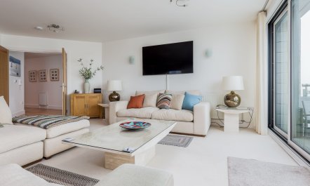 Dolphin of The South 1