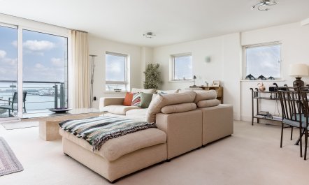 Dolphin of The South 2