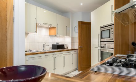 Dolphin of The South 4