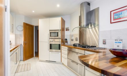 Dolphin of The South 3