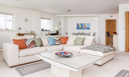 Dolphin of The South 0