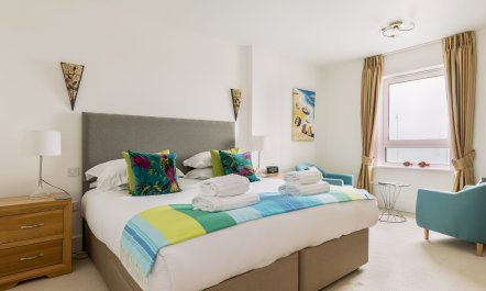 Dolphin of The South 5