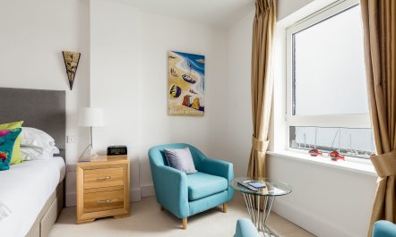 Dolphin of The South 6