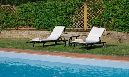 Sunny Tuscan Garden 1