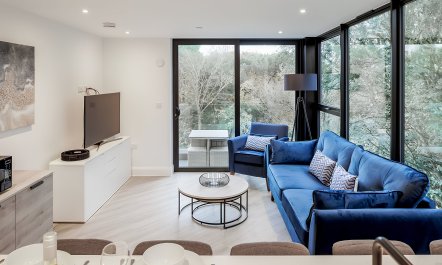 Sophisticated & Modern 2