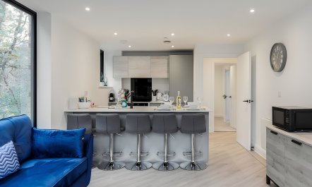 Sophisticated & Modern