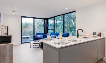 Sophisticated & Modern 1