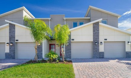 The Glimpse of Nature 3