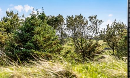 'Eriksine' - 750m from the sea 3