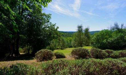 Charming Crimson Haven 4