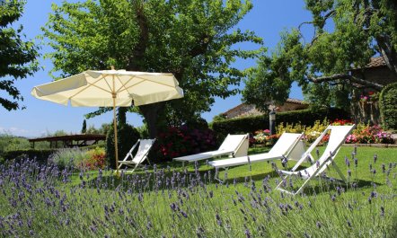 Charming Crimson Haven