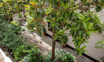 Leafy Parisian Residence 7
