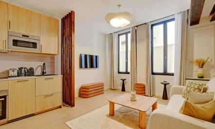 Parisian Moonlight 2