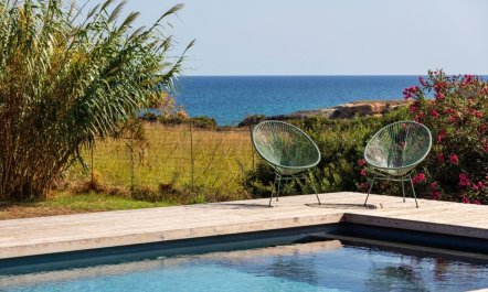 Sea Salt & Olive Trees