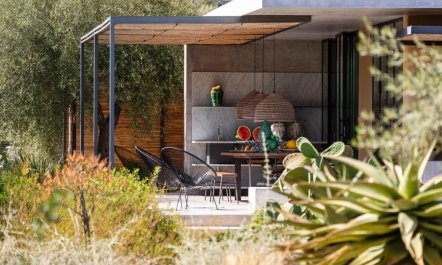 Sea Salt & Olive Trees 1