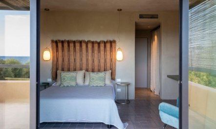 Sea Salt & Olive Trees 9