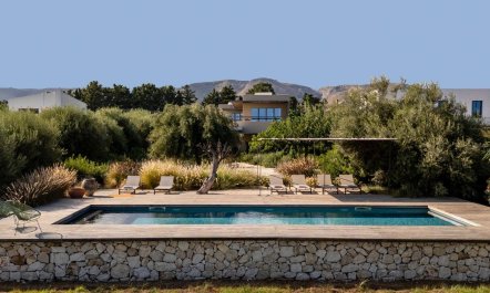 Sea Salt & Olive Trees 2