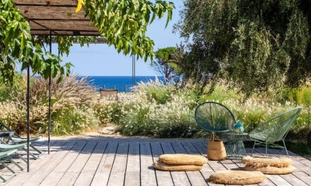 Sea Salt & Olive Trees 3