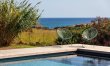 Sea Salt & Olive Trees 0