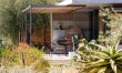 Sea Salt & Olive Trees 1
