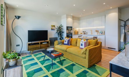 Modern Sophistication