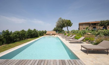 Sweet Meadow Serenity