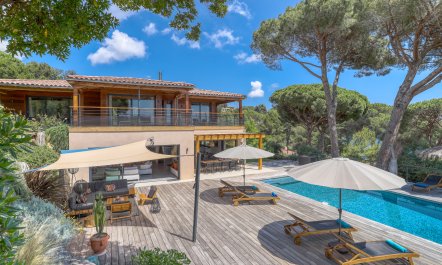 Picturesque Dreams 1