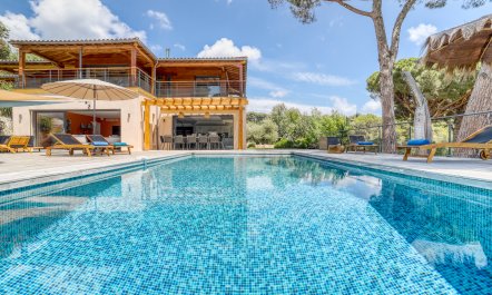 Picturesque Dreams 2