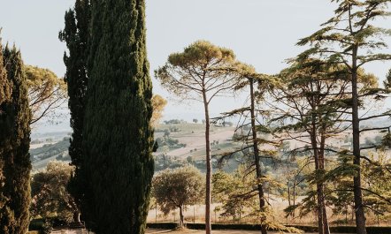 Hidden Citadel 2