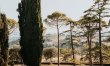 Hidden Citadel 2