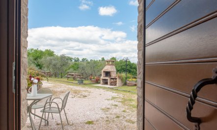 Noble Foothills 6