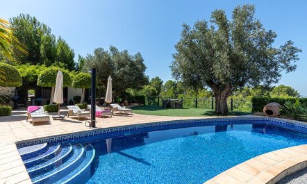 Swimming in the Shade 2