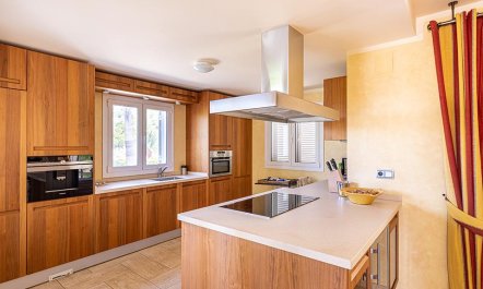 Swimming in the Shade 5