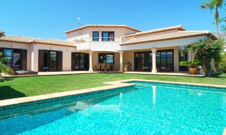 Views Of The Elephant